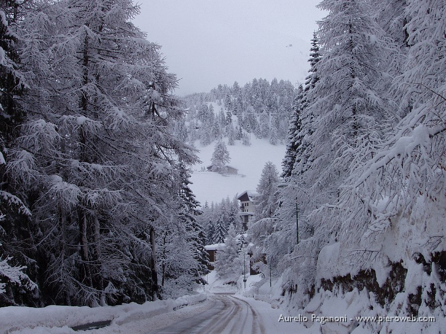 01 La strada per Foppolo.jpg